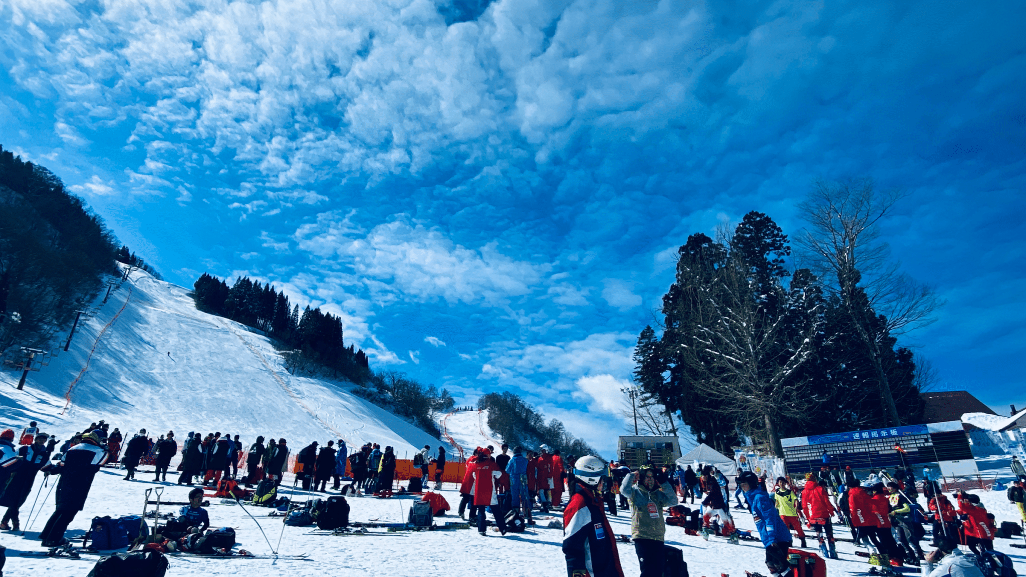 福井県スキー連盟・国体サポート