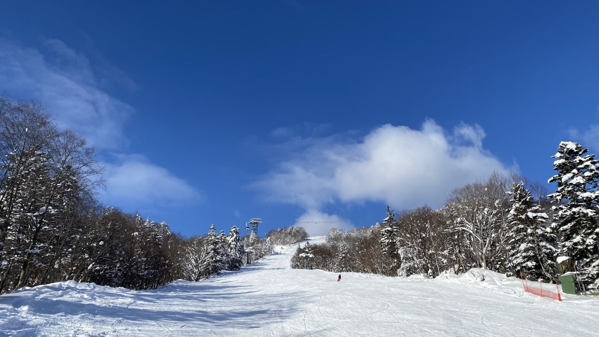 日本体育大学スキー部・雪上強化合宿＠富良野