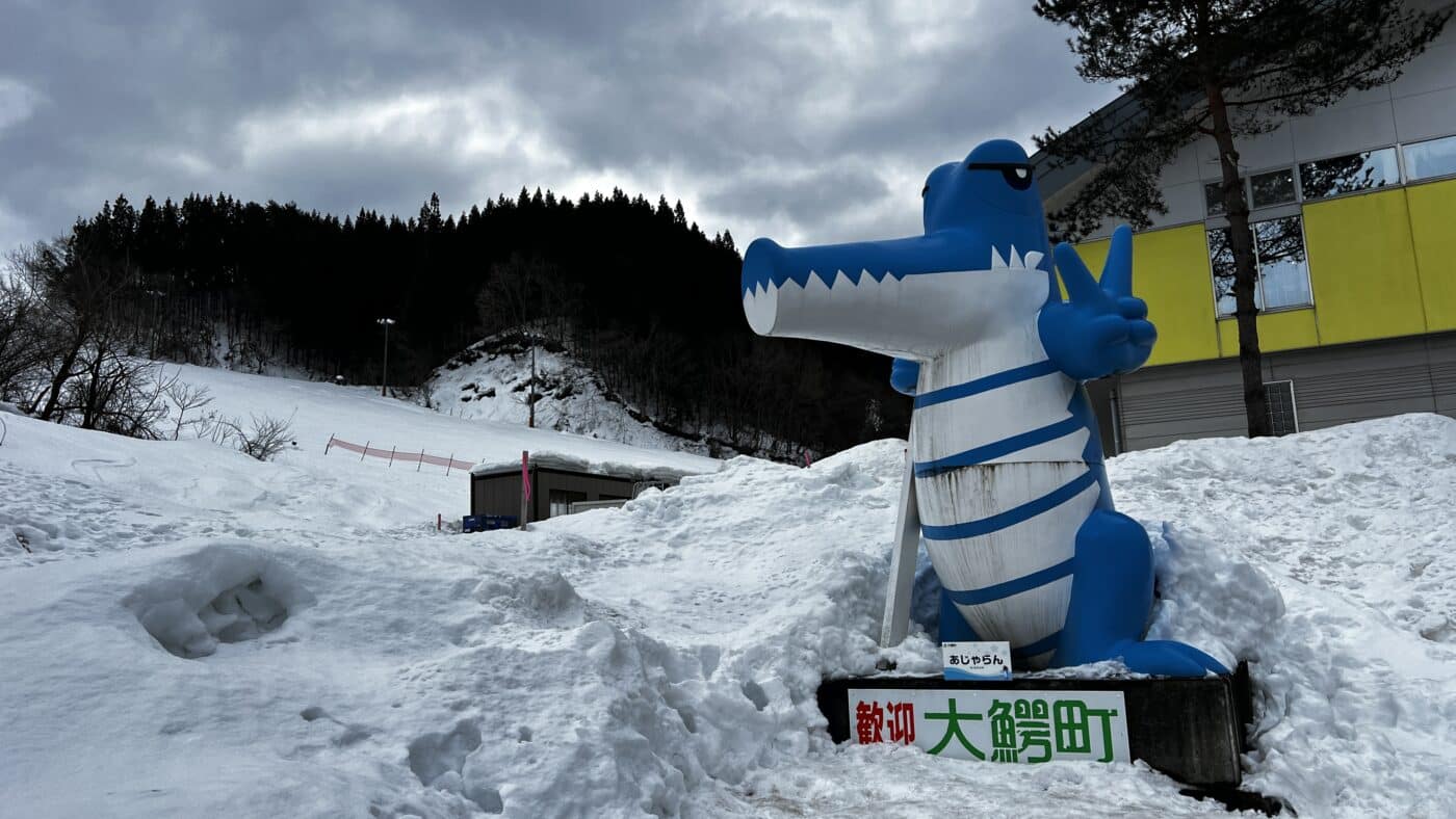 福井県スキー連盟、国民スポーツ大会、アルペンスキー選手サポート、大鰐温泉