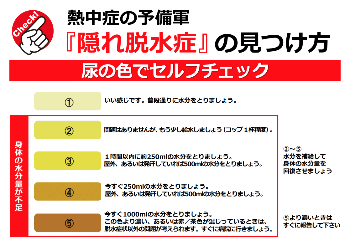 隠れ脱水症、スキーオフトレ、水分補給、熱中症対策